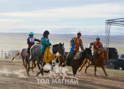 Эрлийз даага айргийн дөрөв-П.Баяраагийн бор