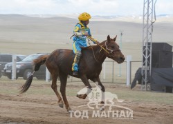 Айргийн дөрөв - Т.Раднаагийн хүрэн