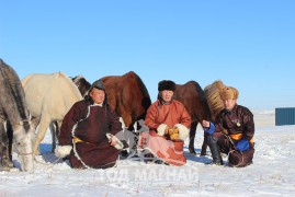 Аймгийн Алдарт уяач И.Намжил: Хар мориныхоо цомцогийг нь хайчлаад мордуулчихсан