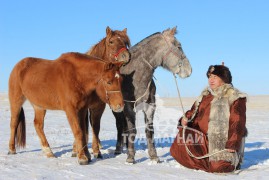 Аймгийн Алдарт уяач Ж.Занданбал: Манай адуу Далай хамбын угшилтай