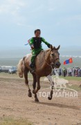 АХ-95 жилийн ойн баяр наадмын их насны морьдын дэлгэрэнгүй цуваа