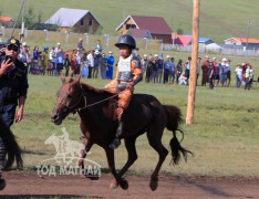 Айргийн тав-Л.Тэгшбаярын хүрэн