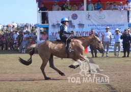 35-Л.Эрхэмбаярын хонгор