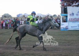 Найм-Ариунболдын бор