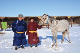 Аймгийн Алдарт уяач Г.Одсүрэн: Адуугаа чанаржуулах ажлыг нэлээд эртнээс эхлүүлсэн