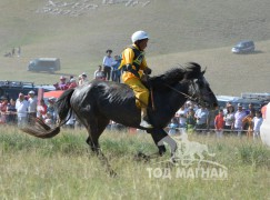 Зургаа-С.Мөнхнасангийн бор