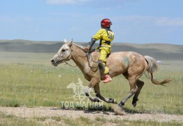 Айргийн дөрөв-О.Ганбаатарын Яруу саарал 