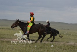 Ес-Б.Бадамдоржийн халтар, 11-Д.Хадбаатарын хар