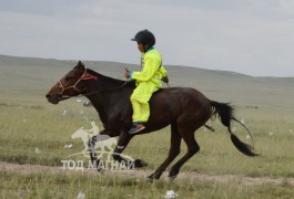 16-Ш.Эрдэнэбатын хээр халзан