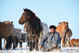 Сумын Алдарт уяач Г.Майнбаяр: Би дөрвөн сайхан даалуу азаргаар наадсан хүн