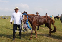 Аймгийн Алдарт уяач Д.Ганзориг: Улс, бүсийн наадмаас нэг түрүү, таван айраг хүртэн сайхан наадлаа