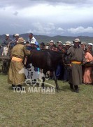 ДААМАЙ ХУРДАН ДАНШГИЙН ХАР