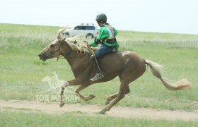 Айргийн дөрөв-Ц.Зоригийн шарга