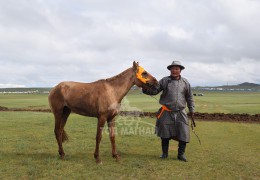 УРАМ НЭМСЭН УНАГАН ХОНГОР