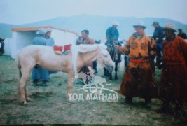 Аймгийн Алдарт уяач Ш.Жадамбаа: Миний хээр морь ойрын хэдэн сумдадаа даалуу адуу байсан