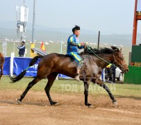 Лувсанбалдангийн халтар 