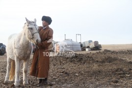 Аймгийн Алдарт уяач Ц.Шаарийбуу: Оргил үедээ аймгийн гурван түрүү, найман айраг авах нь нэг л өдрийн ажил байлаа