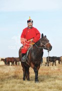 Аймгийн Алдарт уяач Д.Амармөнх: Ес айрагдсан хээр морио Торгоны замын Гантөмөрт өгсөн