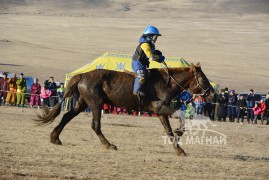 Ес - Х.Цогтсайханы цавьдар