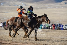 11 - Н.Батболдын хээр, 12 - Д.Бямбадоржийн хүрэн халзан