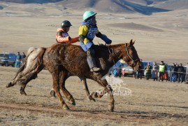 14 - Ш.Мөнгөншагайгийн хүрэн, 15-Д.Дорждодовын саарал