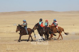 Зургаа-Ц.Бямбадоржийн халтар, долоо-Батдоржийн халтар, найм-Д.Дагвадоржийн хонгор, ес-Ганбатын Бор халзан