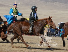 Айргийн дөрөв - Д.Хишигжаргалын зээрд халзан