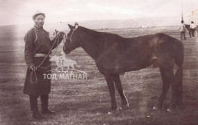 Аймгийн Алдарт уяач Д.Батсуурь: Зөв чихийг нь имнэсэн адуу ичээд түрүүлдэггүй гэдэг