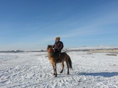 Аймгийн Алдарт уяач Б.Энхбаяр: Хүн болгонд заяахгүй хурдан хүлгүүд надад таарсан