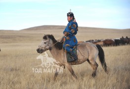 Аймгийн Алдарт уяач Л.Банзрагч: Том наадамд сурцгүй хүүхэд морио олон дундаас гаргаж