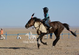 11 - Г.Тэршжаргалын хамар цагаан