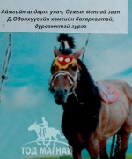 Аймгийн Алдарт уяач Д.Одонхүү: Тахийн цустай адуунд чоно ойртдоггүй юм билээ