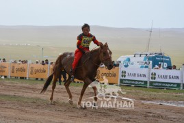 Айргийн дөрөв - Д.Тамирхүүгийн зээрд халзан