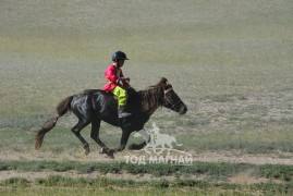 «Хантайширын хурд» МСУХ-ны тэргүүн, аймгийн Алдарт уяач Н.Чилхаасүрэн: 76 удаа нутаг усныхаа нэрийг дуурсгасан хүрэн мориныхоо оролцсон наадам бүрийг бахдалтай гэж боддог