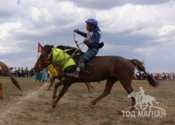 11 - Д.Батсайханы хүрэн