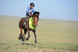 Айргийн гурав Н.Оргилбаярын хээр