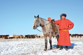 “Манлай хүлэгч” галын гишүүн, Дархан мэргэн Т.Ариунбат: Насан гуайн адууны цагаан гүү МАНАЙ АДУУГ ИХ СҮЛСЭН