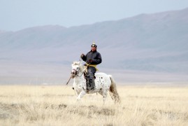 Аймгийн Алдарт уяач Л.Өлзийбүрэн: Бор хээр морио гамнаж байгаад нэг түрүүлгэмээр байна