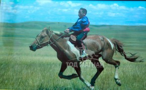 Хонгор алаг морь аймагт нэг аман хүзүүдэж, сумдад 10-аад айрагдсан