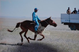 АЙМГИЙН АЛДАРТ УЯАЧ Б.ГАНТӨМӨР: САЙН МОРИЙГ ЗАРАХ БОЛ ӨДӨР СУДАР ХАРЖ, ЗӨВ ТИЙШ НЬ ӨГМӨӨР ЮМ БАЙНА ЛЭЭ