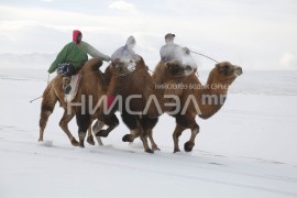 Борцгор хотонтой хамт ирсэн “Мөнгөлөг шагшуурга” наадам