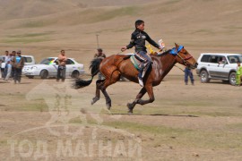 Шижирийн овооны тахилга уралдаан их нас