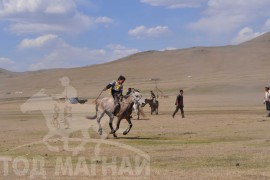 Шижирийн овооны тахилга уралдаан их нас