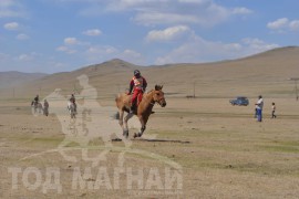 Шижирийн овооны тахилга уралдаан их нас