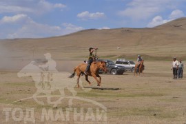 Шижирийн овооны тахилга уралдаан их нас