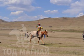 Шижирийн овооны тахилга уралдаан их нас