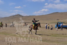 Шижирийн овооны тахилга уралдаан даага