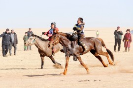 Айргийн тавд Б.Оргилын бор