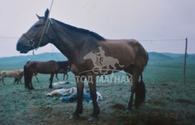 АЙМГИЙН АЛДАРТ УЯАЧ Г.БИЙ-ЭРДЭНЭ: БАГА ХАЛТАР МААНЬ НАМАЙГ ОЛОН ЖИЛ БАЯРЛУУЛАХ ХУРДАН БУЯН БАЙСАН