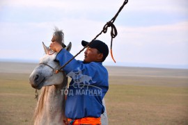 Аймгийн Алдарт уяач Г.БАТ-ОЧИР: УЯАНЫ ОЙРОЛЦОО ШУВУУ ҮҮРЭЭ ЗАСЧИХСАН ЖИЛ МАНАЙ АДУУ САЙН ДАВХИДАГ ЮМ